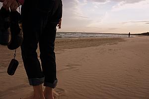 Whitefish Dunes State Park