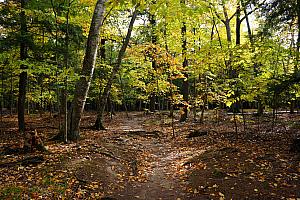 Peninsula State Park