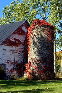 traveling along WI-42 on a beautiful day in Door County