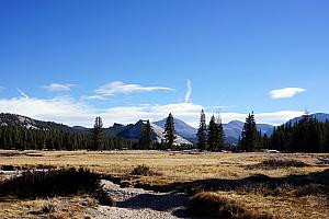 Tuolumne Meadows