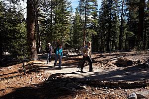 Now, we start our real hike. 
Kelly's parents brought these great walking sticks for us to use. Very handy! 