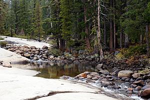 Pretty stream below the fall. The calm after the storm?