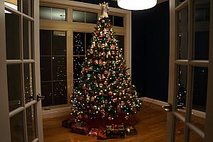 Our Christmas tree, in our still-empty study. Good spot for the tree, though!