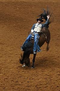 Fort Worth Rodeo and Stock Show