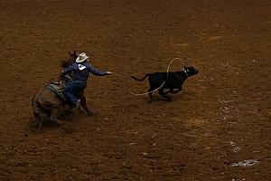 Fort Worth Rodeo and Stock Show