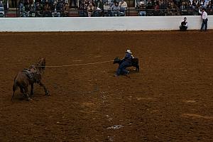 Fort Worth Rodeo and Stock Show