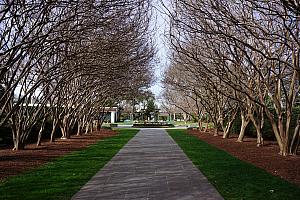 Dallas Arboretum & Botanical Gardens