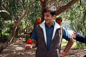 We stopped along the side of the road to visit these friendly parrots. That's our tour guide feeding the parrots