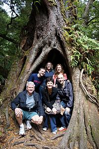 Victoria, Australia is home to giant Mountain Ash trees, whose heights rival those of the giant Sequoias in California.