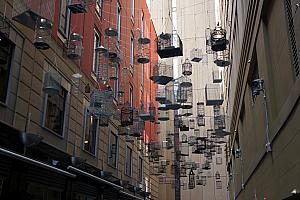 A public art installation: empty bird cages symbolizing the birds that were forced to migrate with the growth of Sydney.