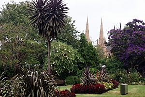 Sydney's botanical gardens