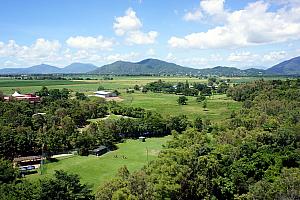 March 31 - Kuranda. We took a bus from Cairns, and we're riding the skyrail over a Queensland rainforest.