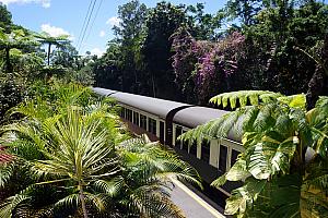 Scenic train - we'll ride this back to Cairns.