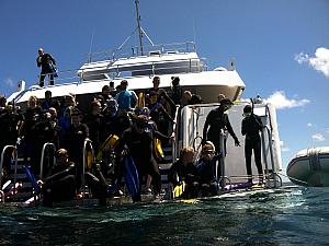 Wearing our stinger suits to protect us from the rare box jellyfish, reading to jump in!