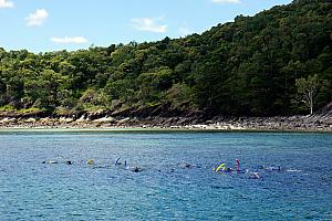 Snorkeling near Whitehaven Beach in the Whitsundays