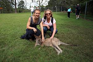 The sanctuary also has a big pasture with dozens of Kangaroos that you could freely pet and feed. They were friendly and had very soft fur. 