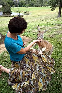 Happy kangaroo!
