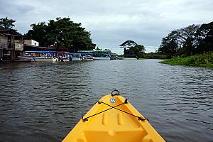 Saturday, December 14: Kayaking in Las Isletas on Lake Nicaragua.