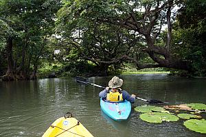 Following our guide.