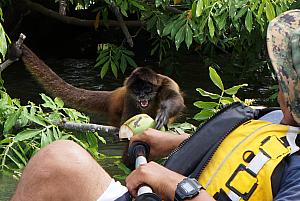 He has sharp teeth!