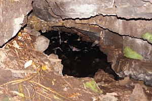 Before visiting this cave, we stopped by an airhole to watch lots of bats fly out of it. We squatted outside this hole in the dark and felt the bats whoosh just above our heads. This photo is alit from our camera's flash.