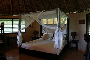 Our wonderful bed with mosquito net, that blocked away moths primarily; we only saw a handful of mosquitos the whole trip and didn't get any bites!