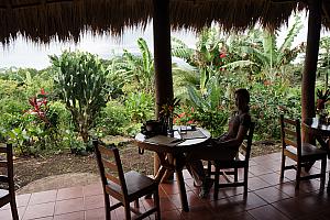 Our daily breakfast table.