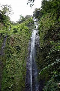 Tuesday, December 17: We took a hike to the San Ramon waterfall.