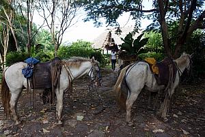 Wednesday, December 18: ready to go horseback riding through the rain forest and then to the beach.