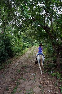 Riding up Totoco's driveway -- the road to the ecohotel was completely paved, but the 1.25 mile driveway -- completely uphill -- was not. This dirt/rock road took about 10 minutes to surpass on the road, and 30 minutes on our horses.