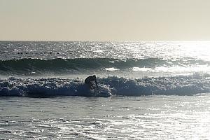Here's Jay catching a wave.