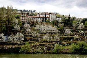 Beautiful scenery along the river