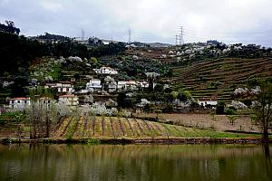 Beautiful scenery along the river