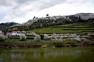 Beautiful scenery along the river