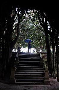 Kelly standing at the edge of a cedar-tree-tunnel