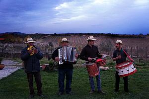 These musicians were fun to listen to. It's hard to go wrong when an accordion is involved.