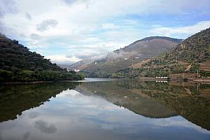 March 30: great reflections early in the morning from our dock in Regua