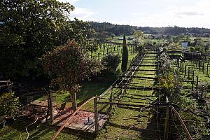 April 2: Back at our bed and breakfast. It's called Pazo de Galegos and is also a very small winery. We received a very fun tour of the grounds by the winery's owner.