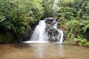 We visited a nearby park, and found this waterfall.