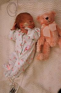 June 7: second photo with teddy bear.