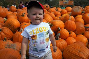 Cooper hanging with the pumpkins.