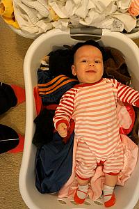 Capri is hanging out in the laundry basket.