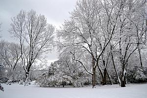 We made it back to Cincinnati just in time for the 2014 winter's first snowstorm. Here's our backyard.