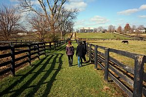We visited Old Friends, a retirement home for retired racehorses in Georgetown, Kentucky. A beautiful place, and lots of fun stories about all the thoroughbreds!