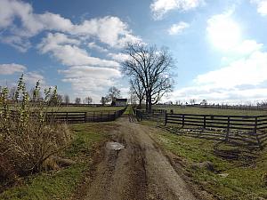 Walking down the dirt path between the pastures.