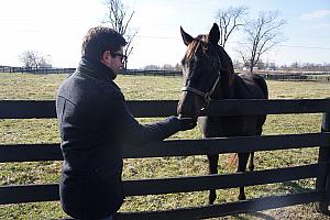Feeding the horse some carrots