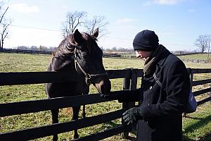 My turn to feed the horse.