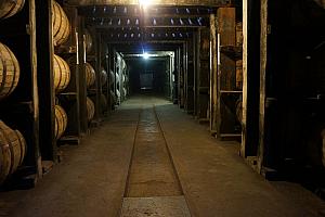 Buffalo Trace Bourbon Distillery
