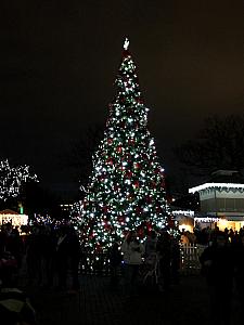 Cincinnati Zoo Festival of Lights