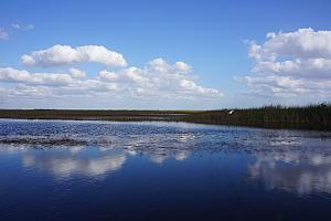 River view from the airboat ride. Goodbye Everglades, you were fun!